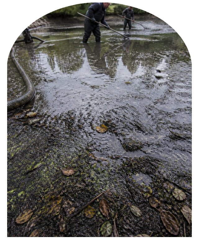 Очистка пруда в Шахтах от ила мусора и водорослей с вывозом